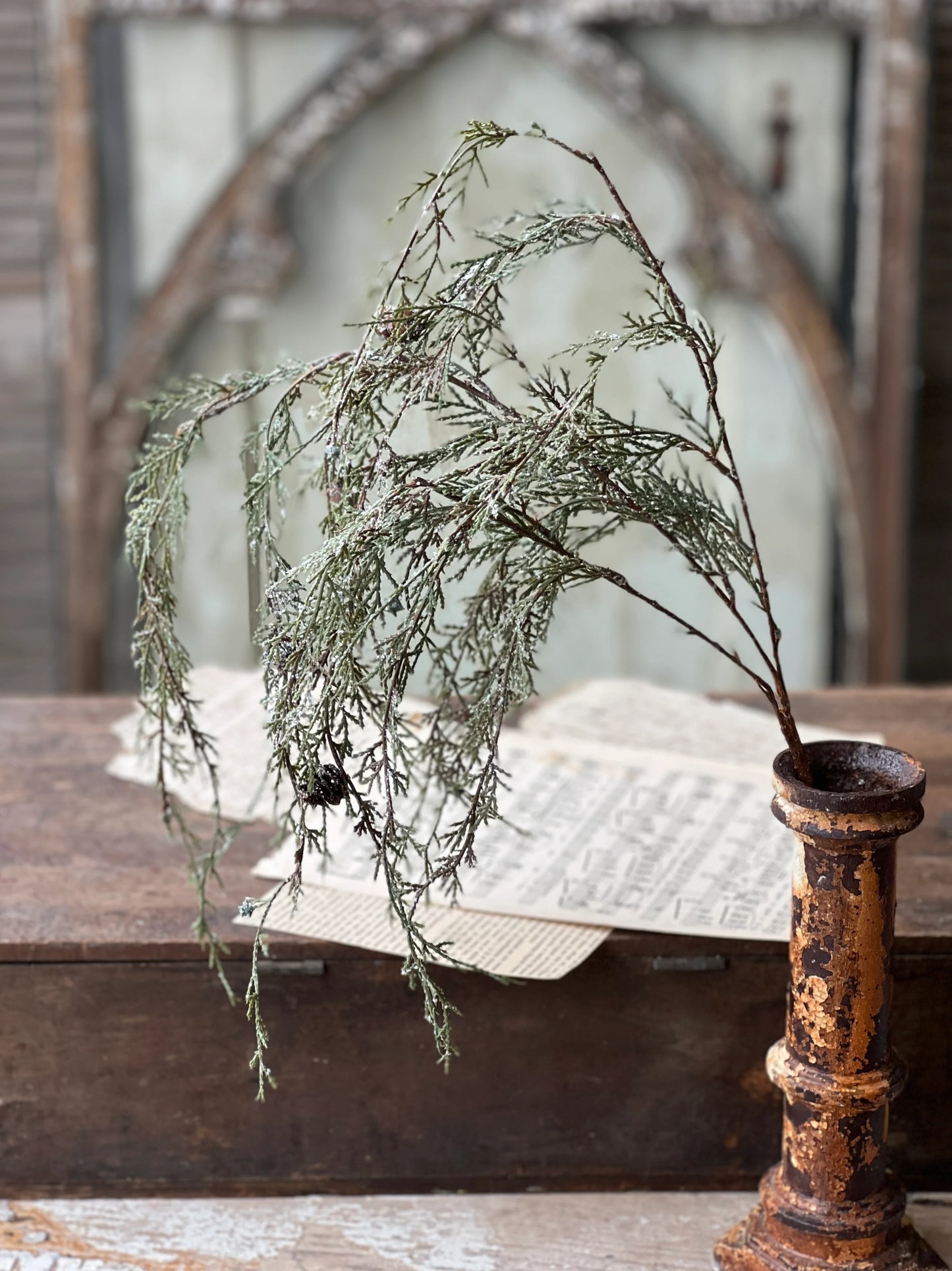 Weeping Cedar Branch | Snow | 34"