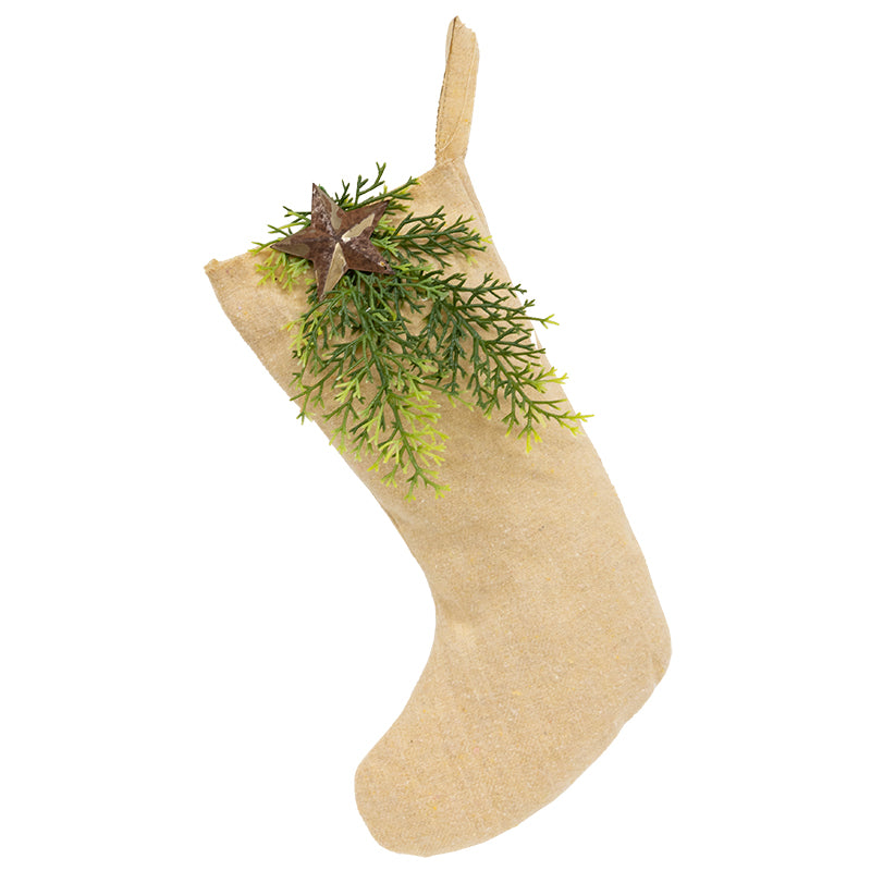 Cream colored stocking with pine and rusty star on a white background.