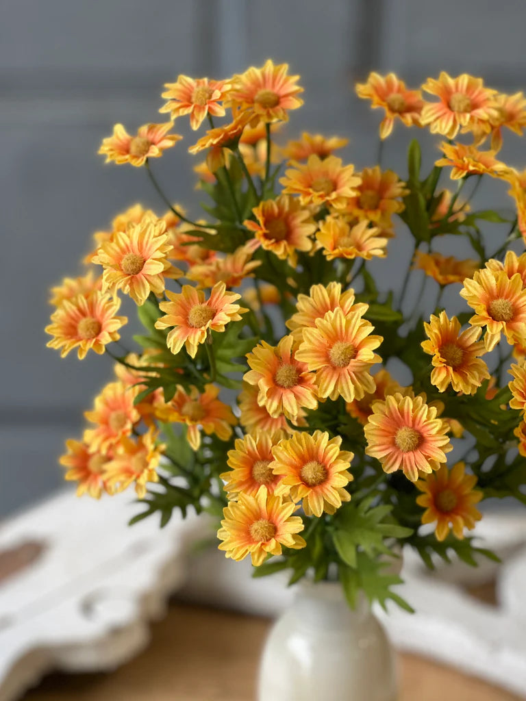 Curtsy Daisy Bush | 16" | Marigold