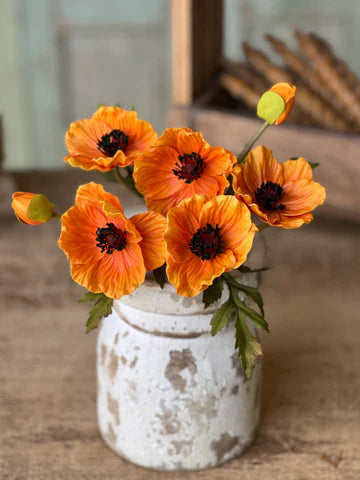 Luring Poppy Bundle | 10" | Orange