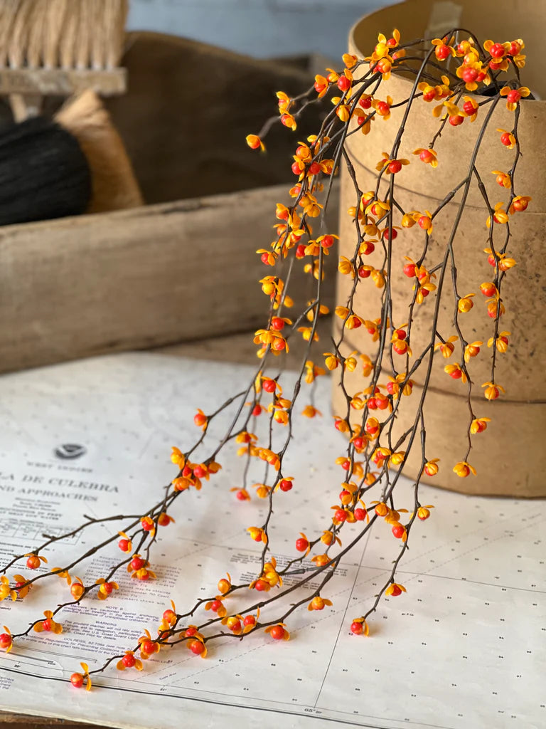 Briery Bittersweet Hanging | 27"