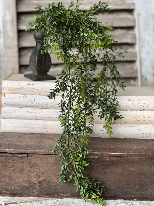 New England Boxwood Hanging | 32.5"