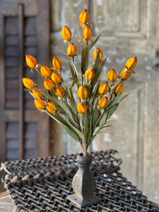 Beacon Bush | 23" | Saffron