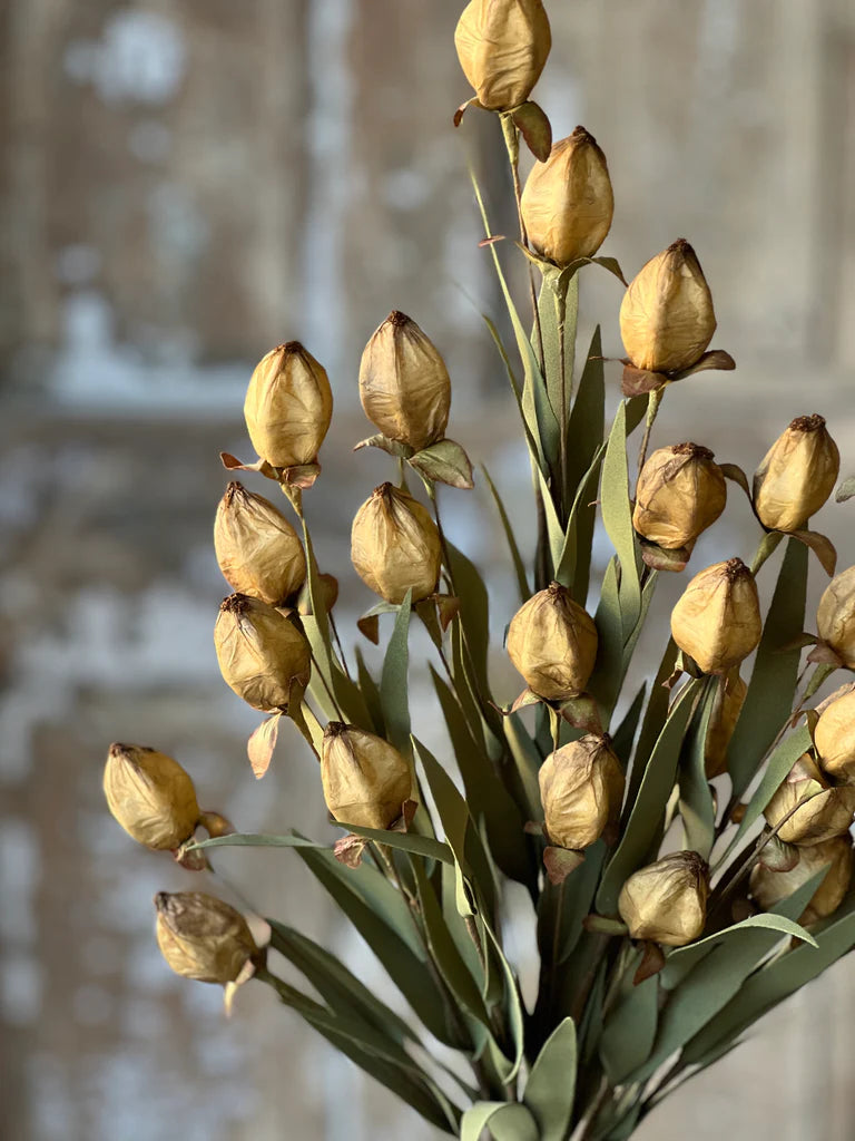 Bouquet of dried yellow tulips with green leaves against a blurred background