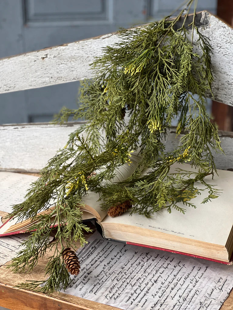 A bunch of green Alpine cedar hanging from a hook, with tiny pine cones, placed over an open book.