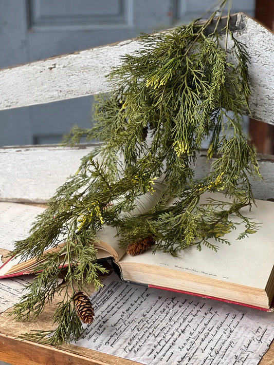 A bunch of green Alpine cedar hanging from a hook, with tiny pine cones, placed over an open book.