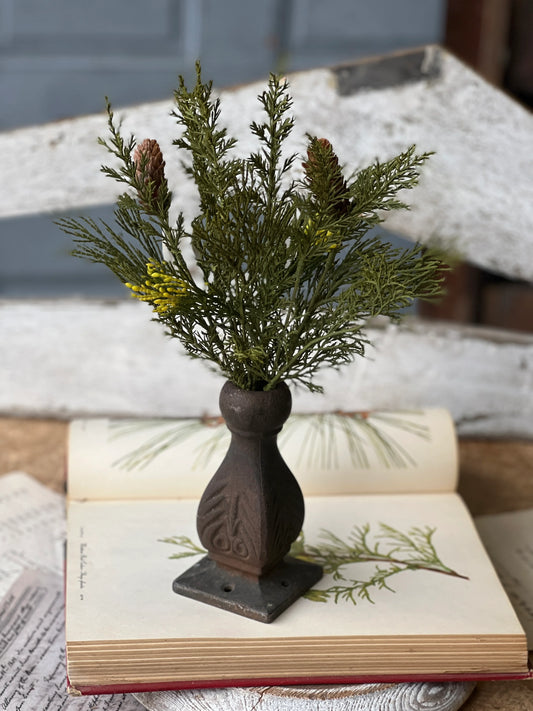 A dried Alpine cedar pick arrangement with greenery and pine cones in a brown vase, placed on an open book.
