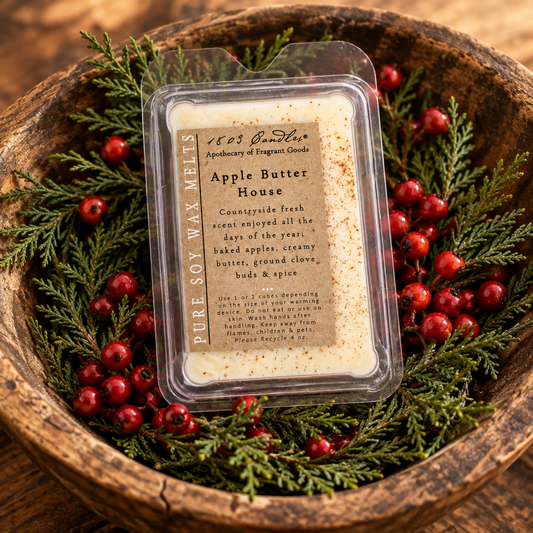 A square clear plastic clamshell container of Pure Soy Wax Melts in the scent 'Apple Butter House' by 1663 Gentleman, filled with off-white wax and topped with a brown paper label. The container is presented in a rustic wooden bowl filled with green pine branches and red berries, set against a dark wooden background.
