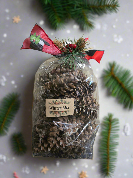 Bag of 'Winter Mix' with pinecones and a festive ribbon on a snowy background