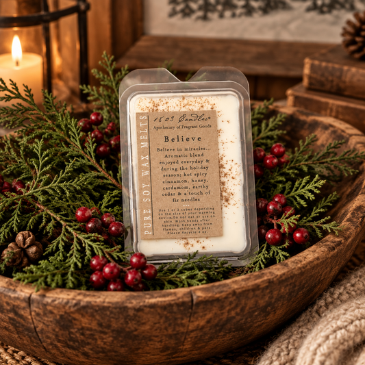 A wax melt product labeled 'Believe' by 1623 Candle Co. placed in a rustic wooden bowl filled with evergreen branches, red berries, and pinecones, with a warm candle and books in the background.