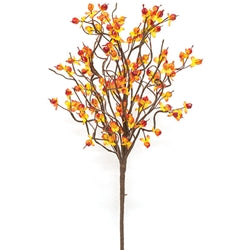 Floral pick on white background.