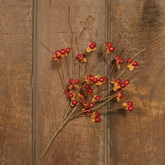 A bunch of dried red berries with orange leaves on a brown twig, arranged against a wooden backdrop.