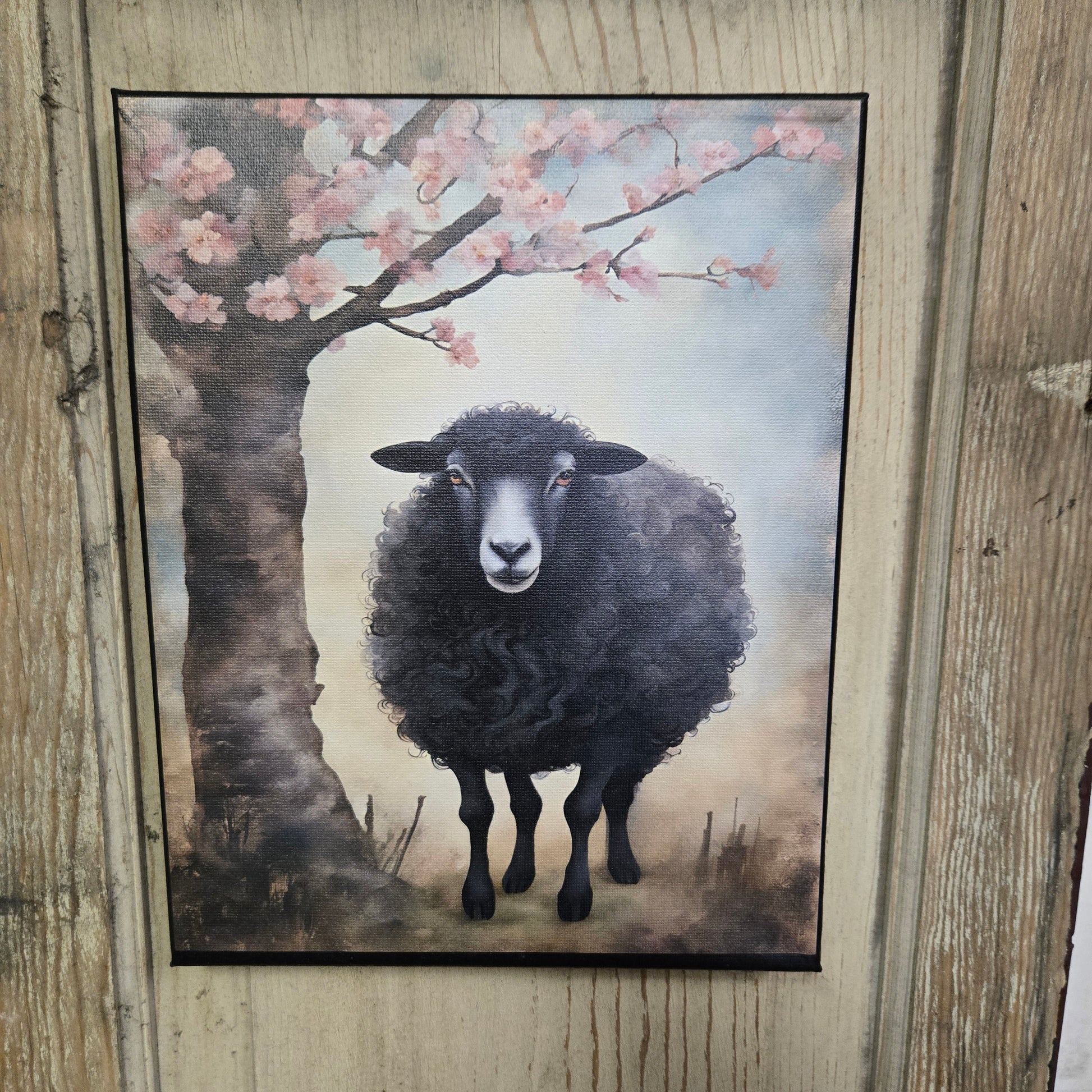 A canvas print featuring a black sheep standing under a tree with pink blossoms.