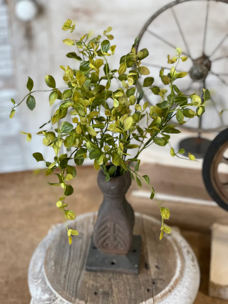 Green plant in a decorative vase on a wooden surface with a rustic background