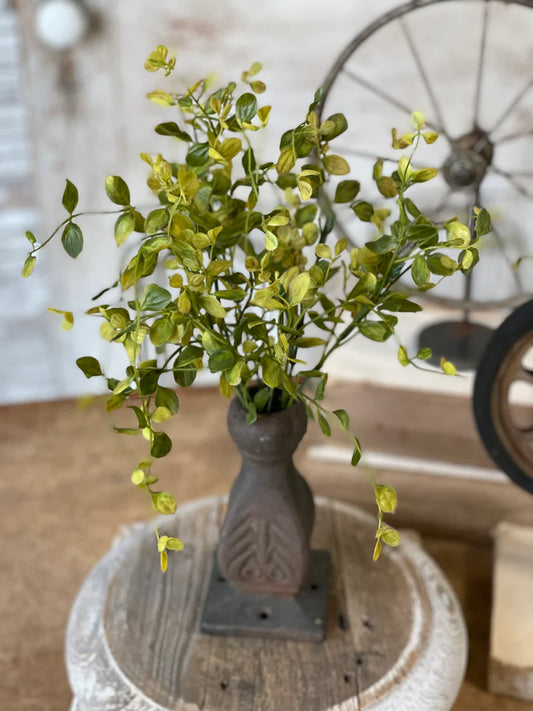 Green plant in a decorative vase on a wooden surface with a rustic background
