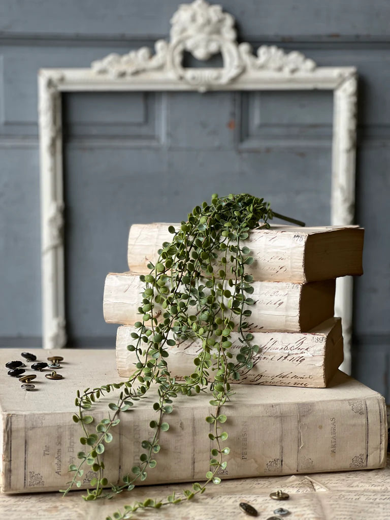 Stack of vintage books with a vine on top against a gray wall.