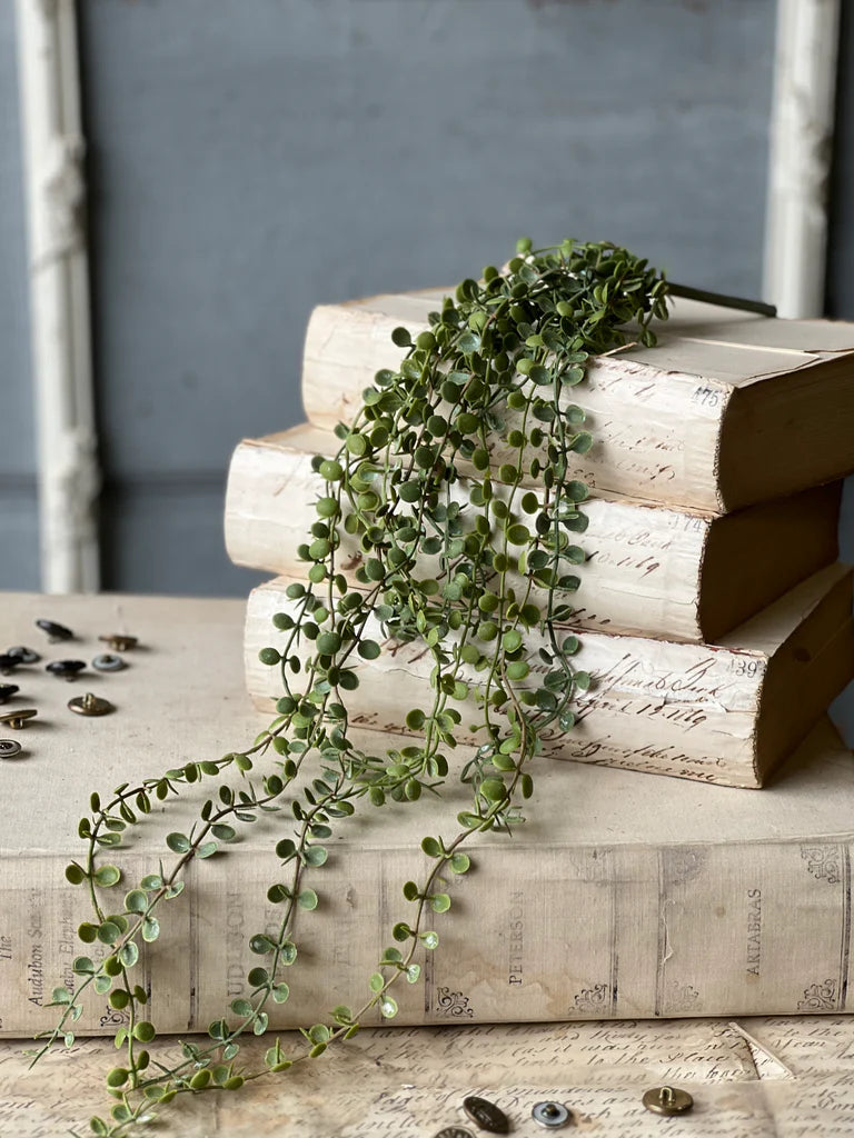 Stack of books with a green vine on top against a gray background