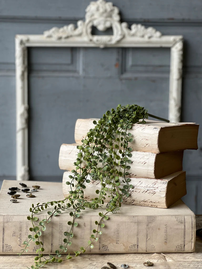 Stack of vintage books with a green plant on top against a gray wall with an ornate frame.