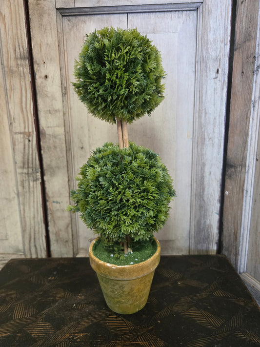 Two potted topiary plants on a wooden surface