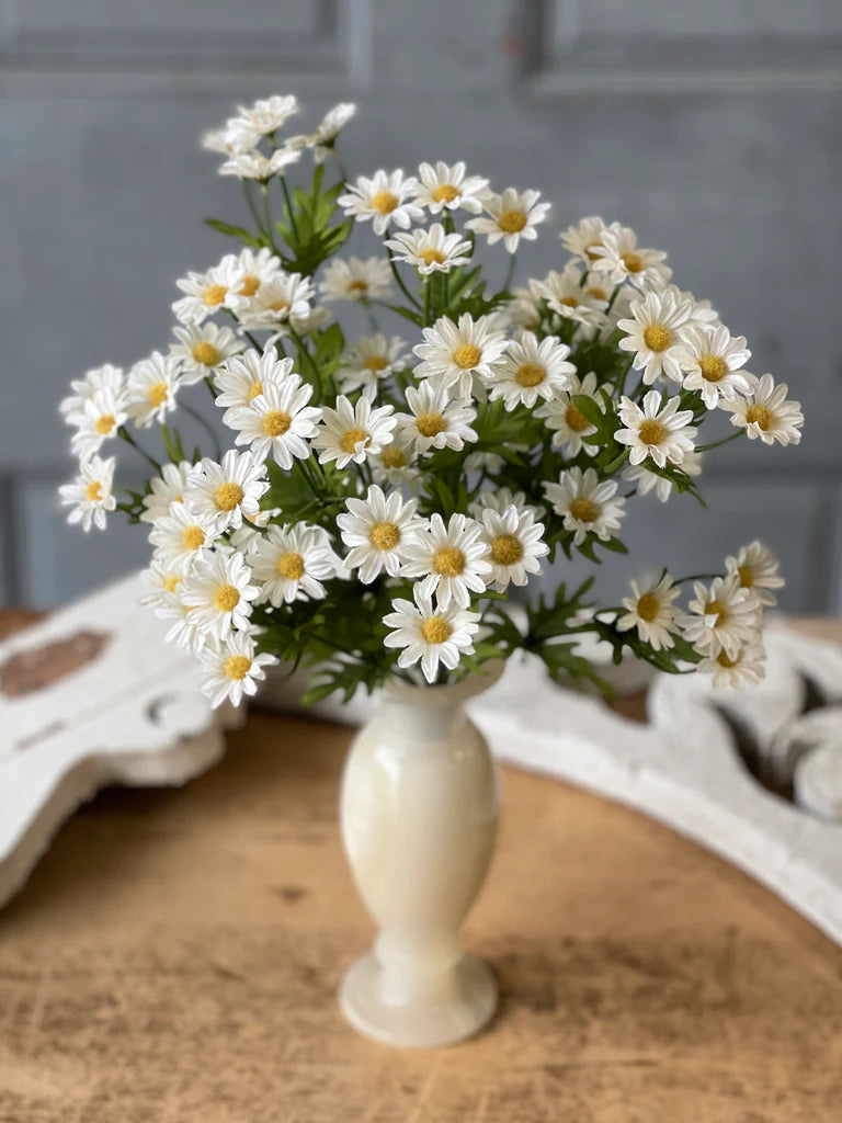 Daisies in cream vase