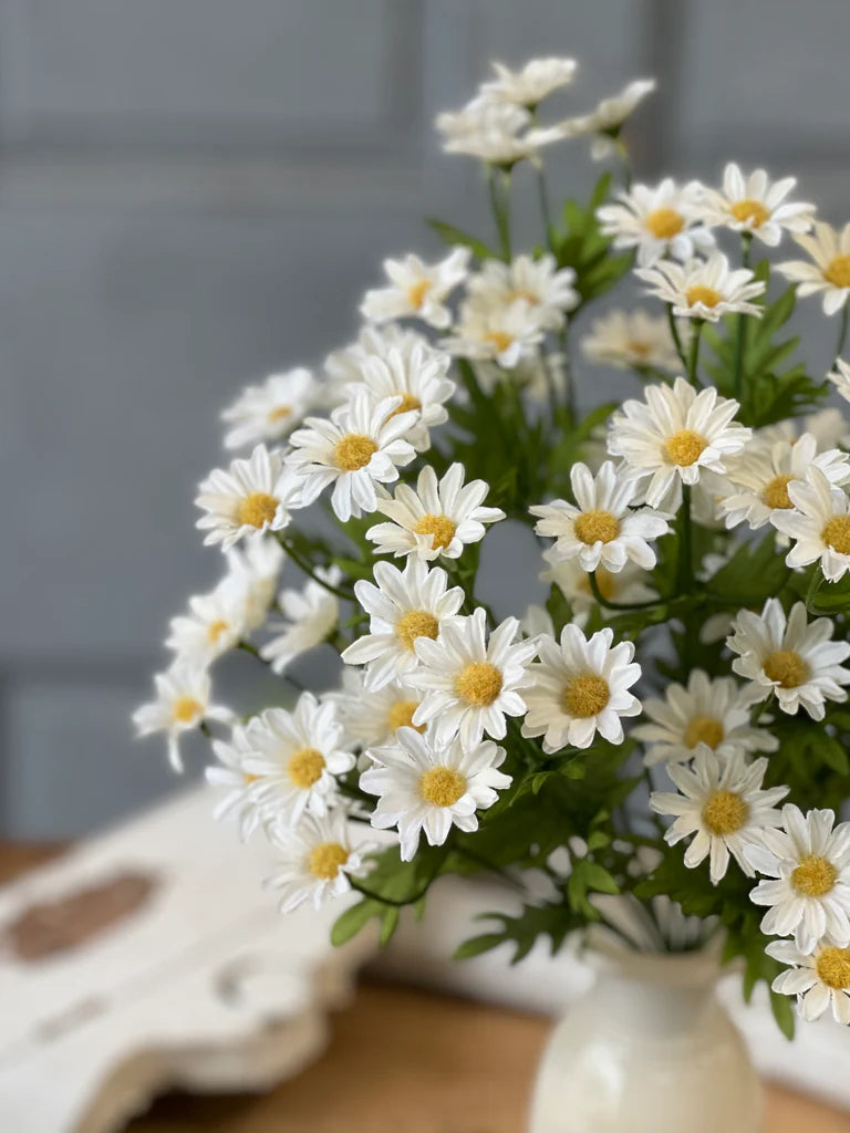 White flowers with yellow centers in a vase against a gray wall.