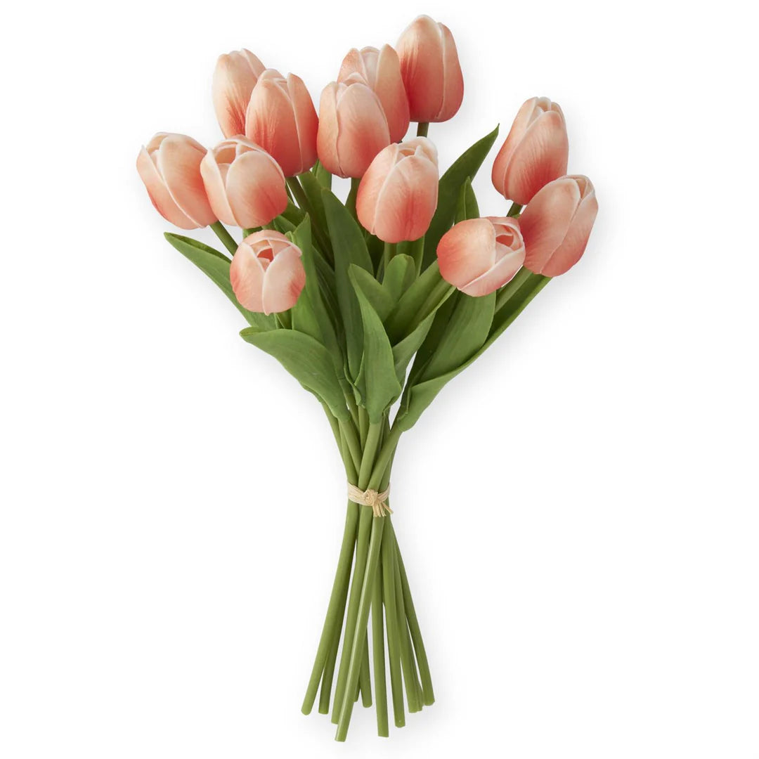 Bouquet of pink tulips on a white background