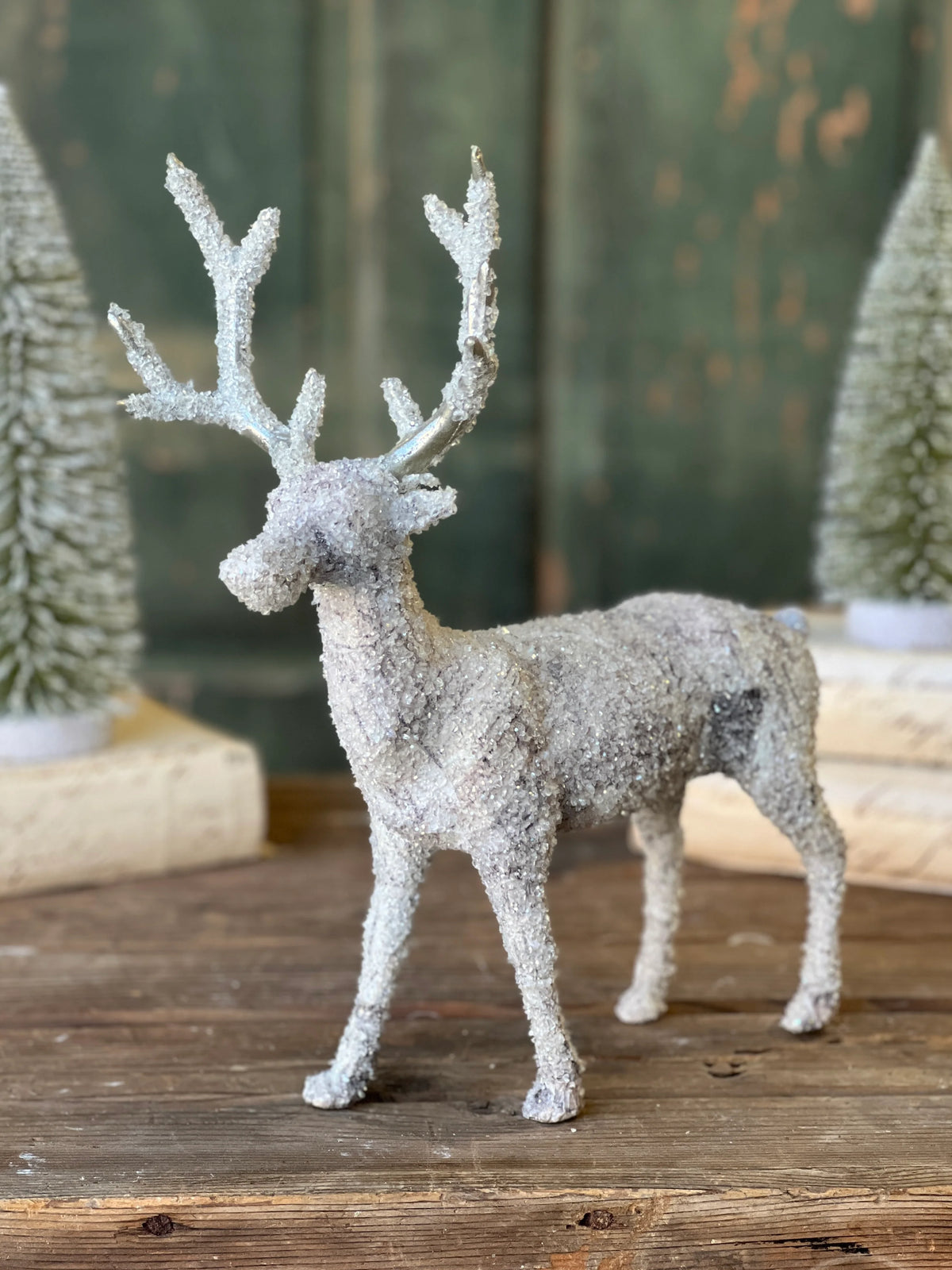 White deer with bottlebrush trees in the background.