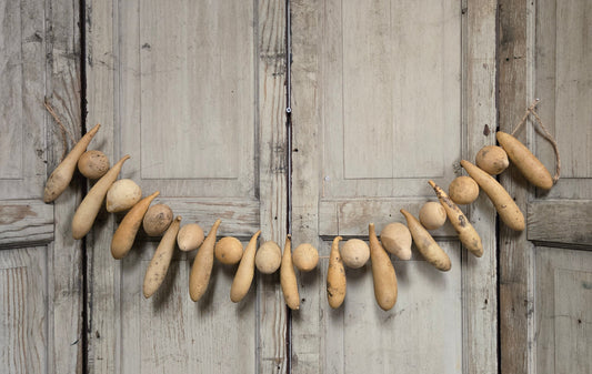 Decorative garland of gourds on a rustic wooden surface