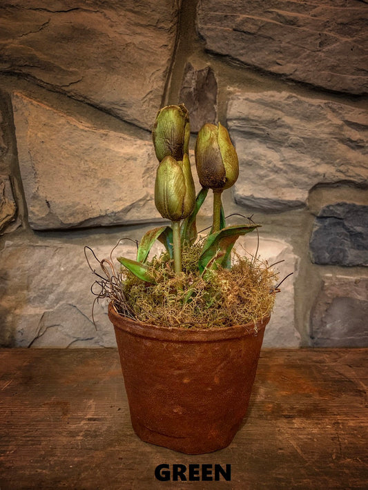 Tulip Green