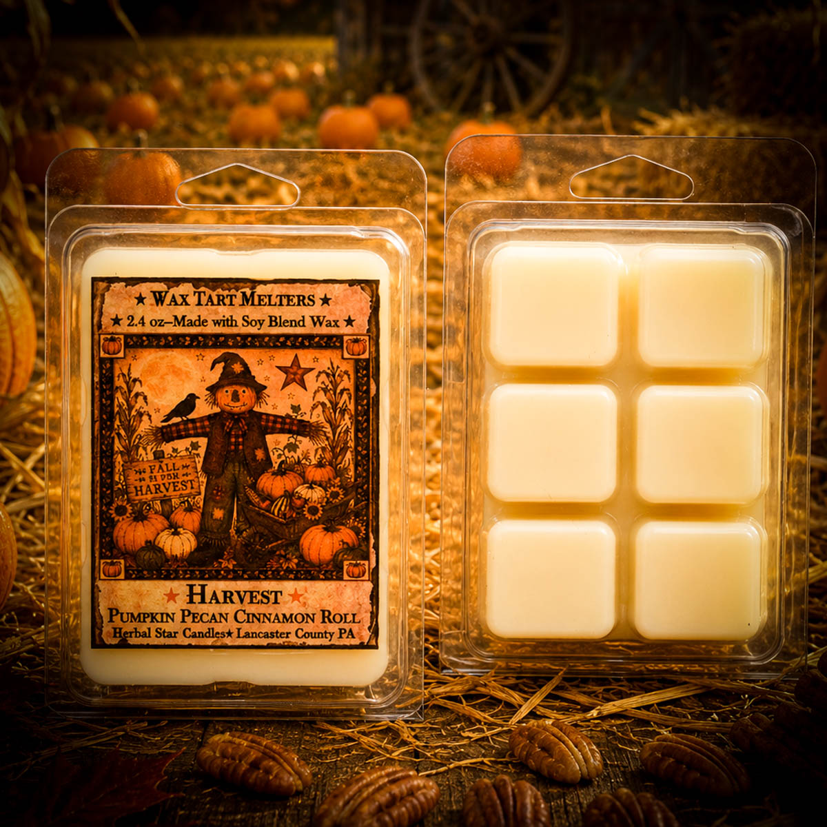 Harvest Mini Pack of 6 Tarts