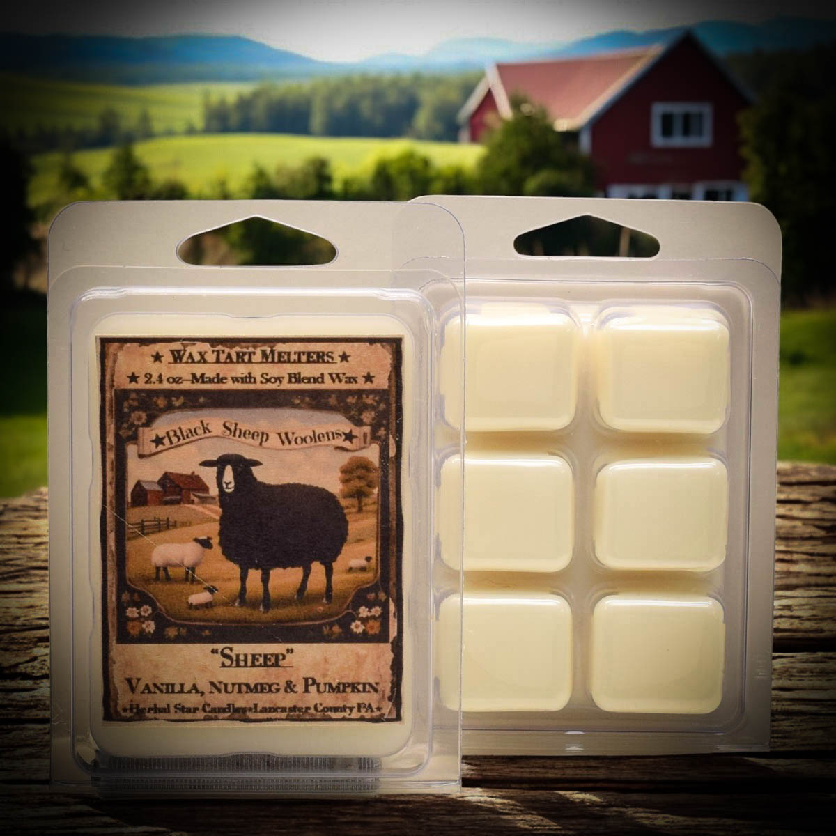 Sheep Mini Pack of 6 Tarts