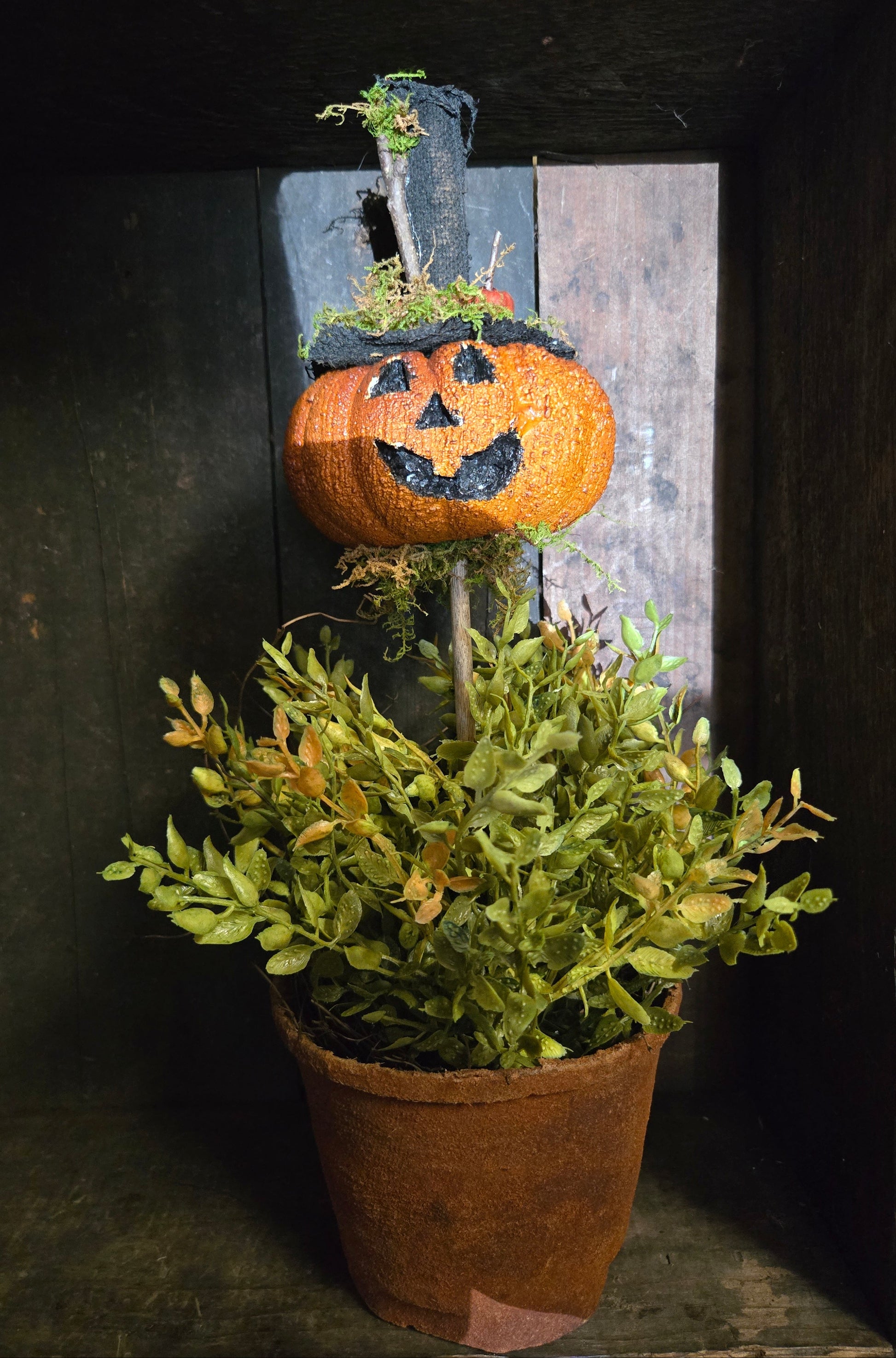 Potted plant with a small pumpkin topiary on a dark background