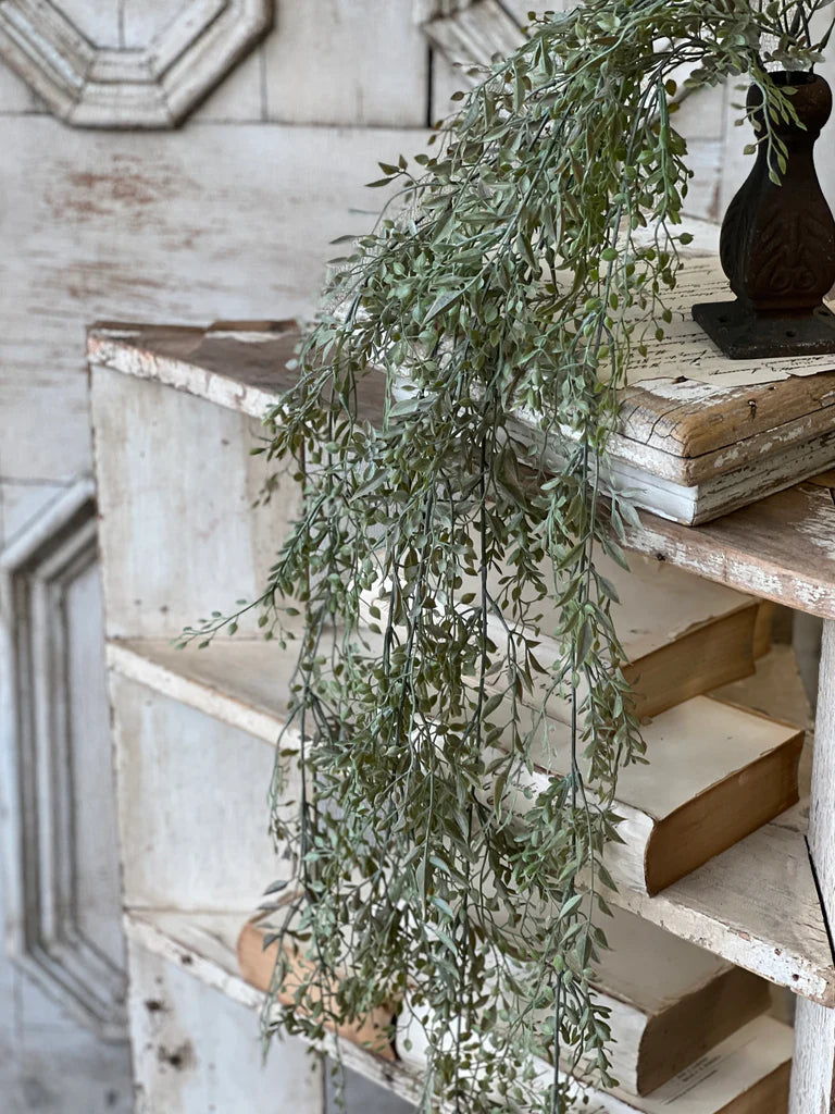 Decorative plant on a rustic wooden shelf with a neutral background
