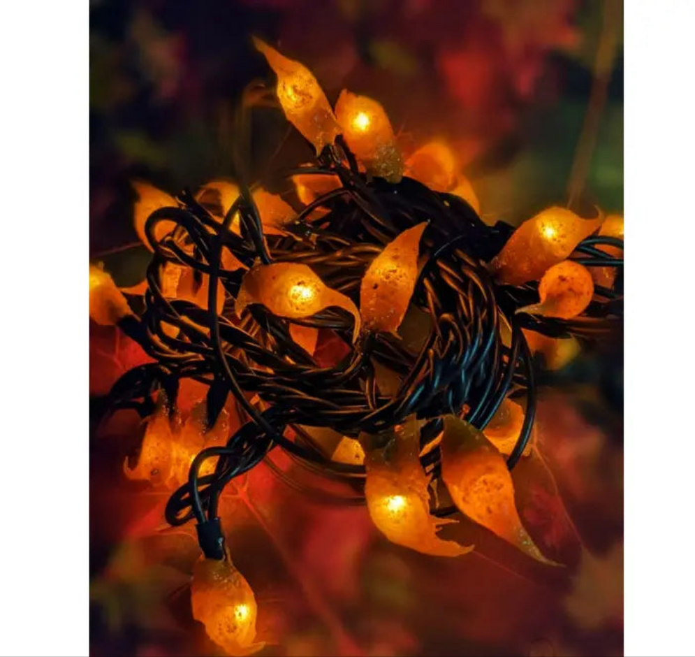 A close-up image of a strand of silicone string lights with visible LED lights glowing in the dark.