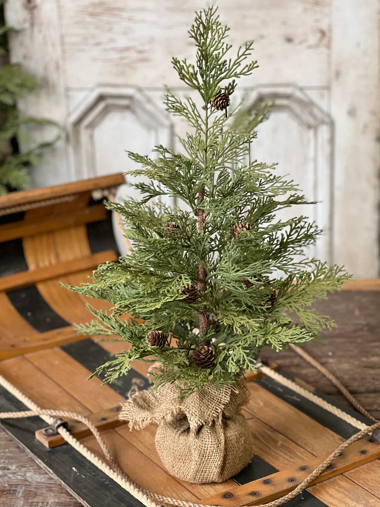Small evergreen tree in a burlap sack on a wooden sled with a rustic background.