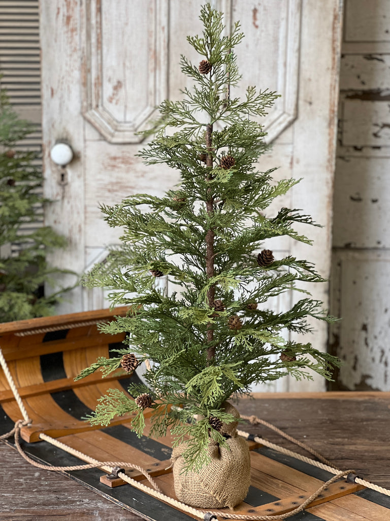 North rim hemlock tree on wooden sleigh
