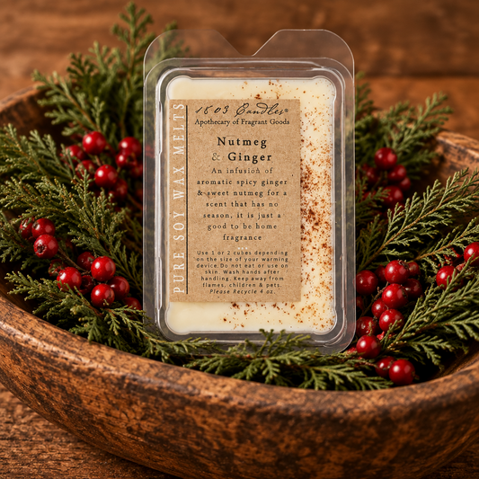 A clear plastic tub of pure soy wax melts labeled 'Nutmeg & Ginger' sits in a wooden bowl filled with evergreen branches and red berries. The label reads '1693 Bounties Apothecary of Fragrance Goods' and the wax inside is lightly dusted with cinnamon.