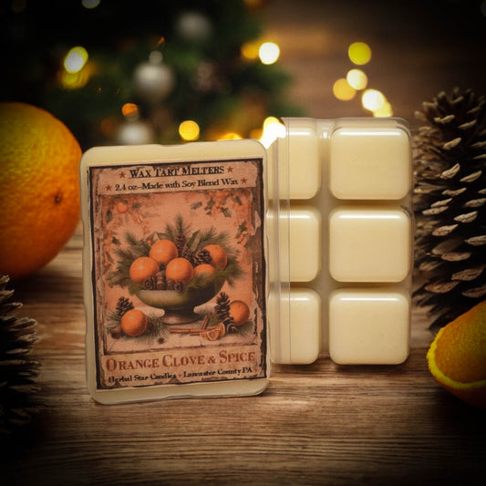 Clear clamshell packaging of wax tart melters with orange and clove artwork with blurred background
