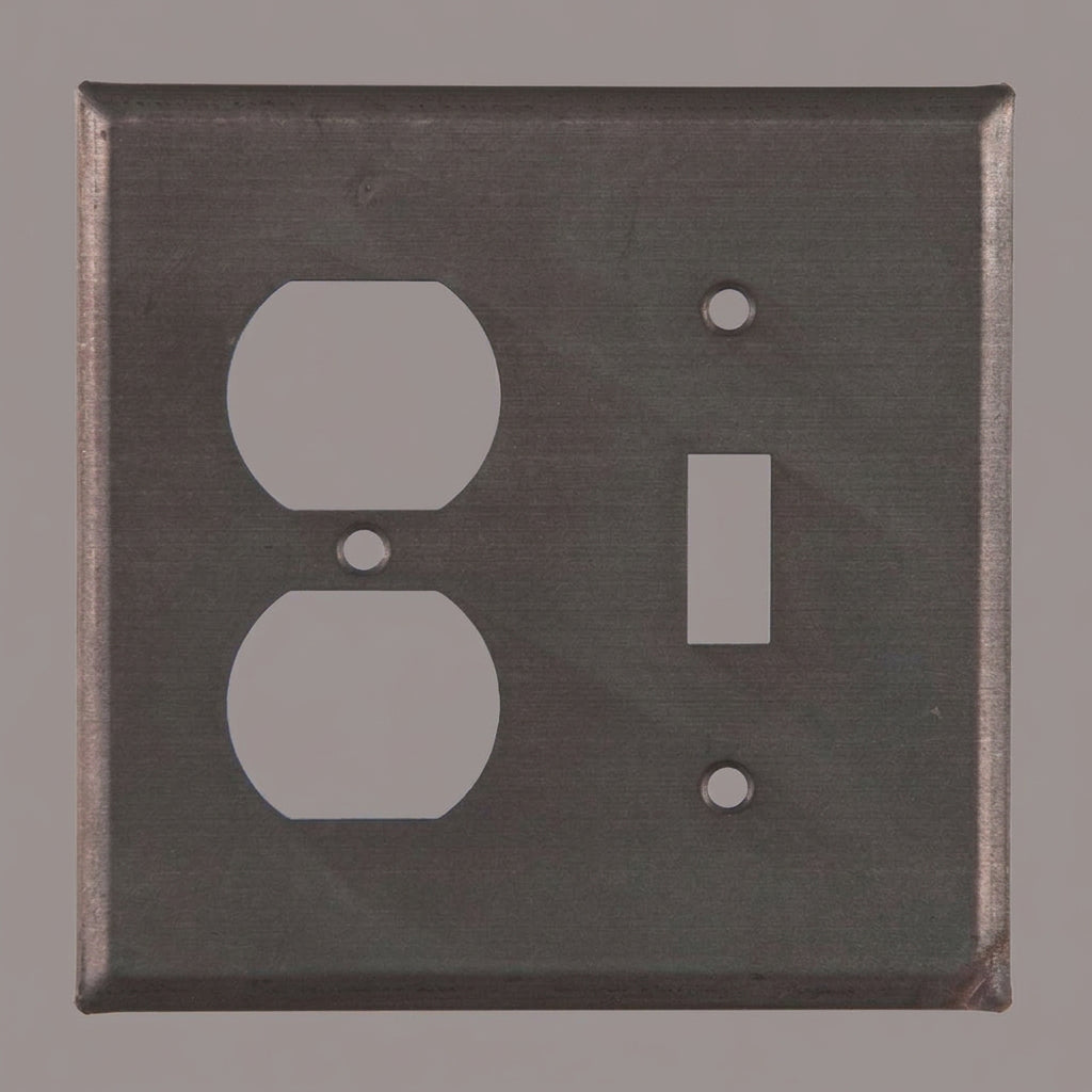 Decorative wall plate with socket and switch cutouts on a white background