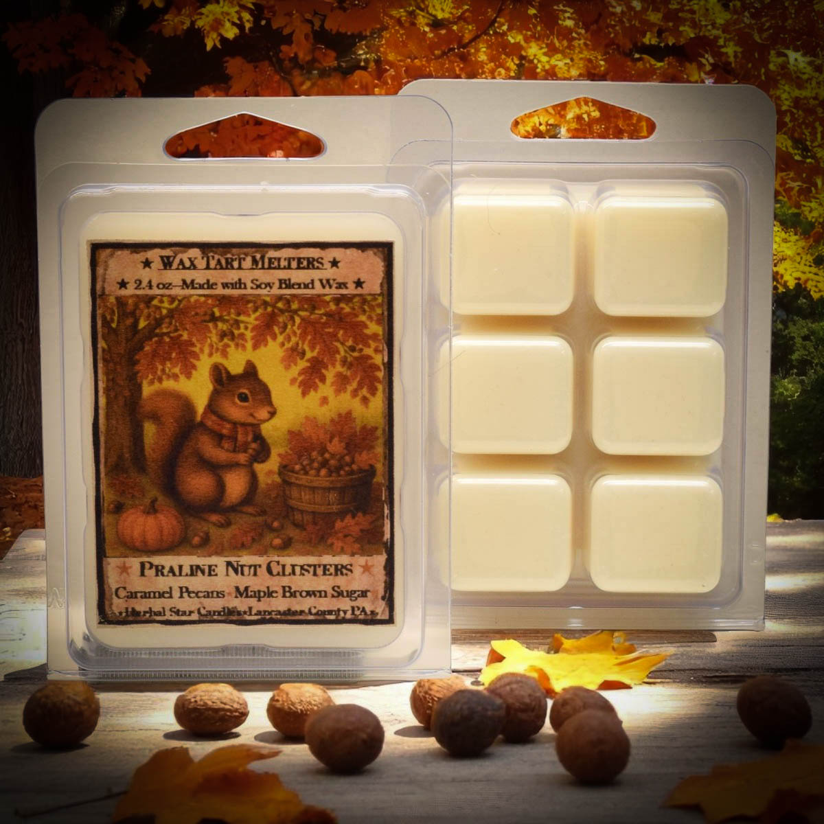 A package of wax tart melts displayed with the printed front label visible on the left and the six cream-colored wax cubes in a clear tray on the right. The label shows a squirrel in an autumn tree and reads 'Praline Nut Clusters.