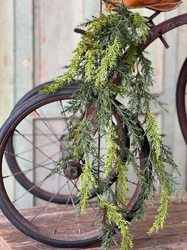Greenery on antique bike.