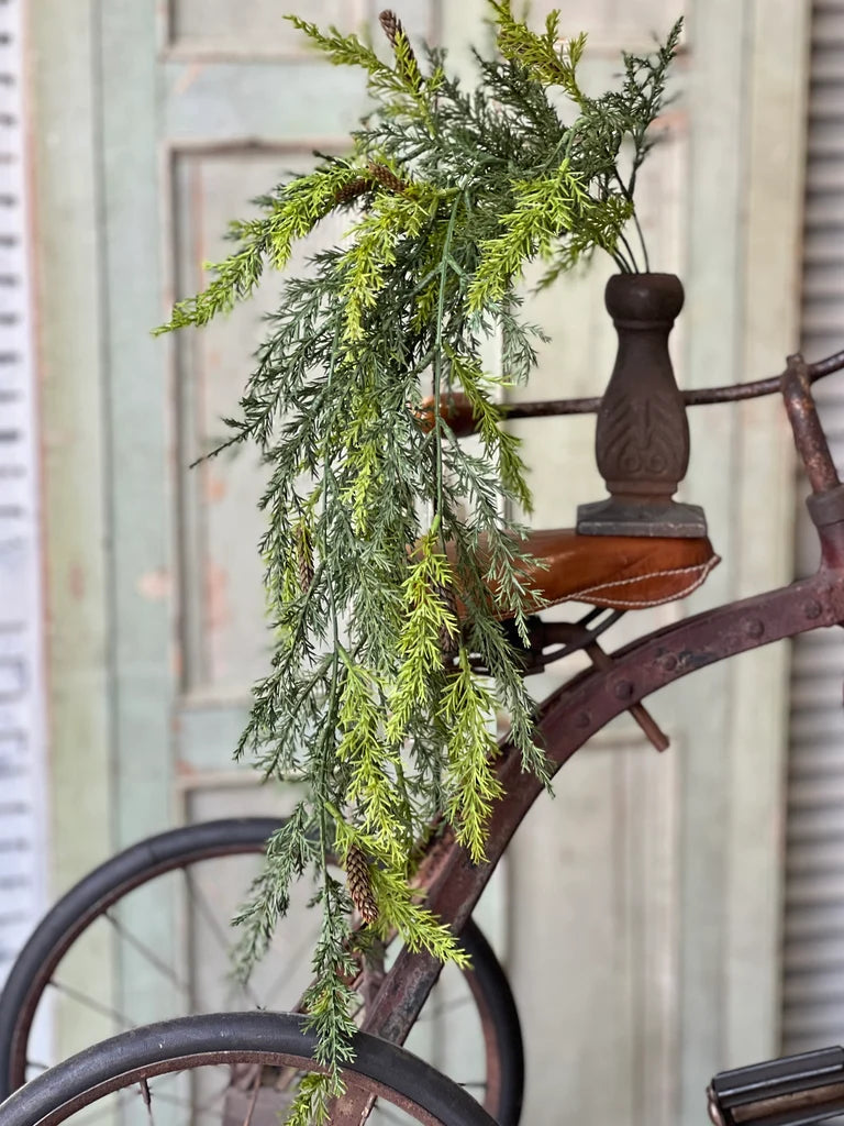 Pine greenery in iron vase sitting on top of a bicycle.