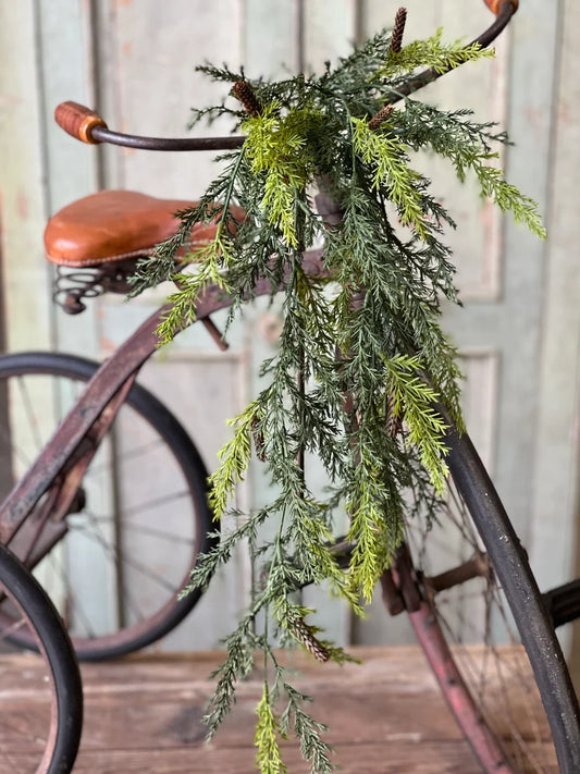 Pine greenery hanging off of an antique bicycle.