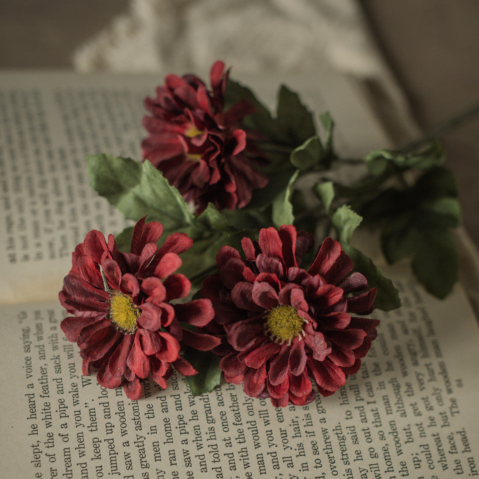 Red flowers on an open book with a blurred background