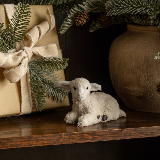 Resting Lamb