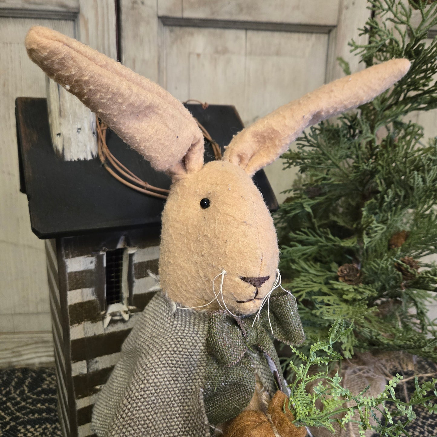 Mrs. Bunny Wearing Shrug and Holding Carrot