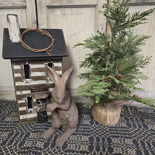 Dark Brown Bunny