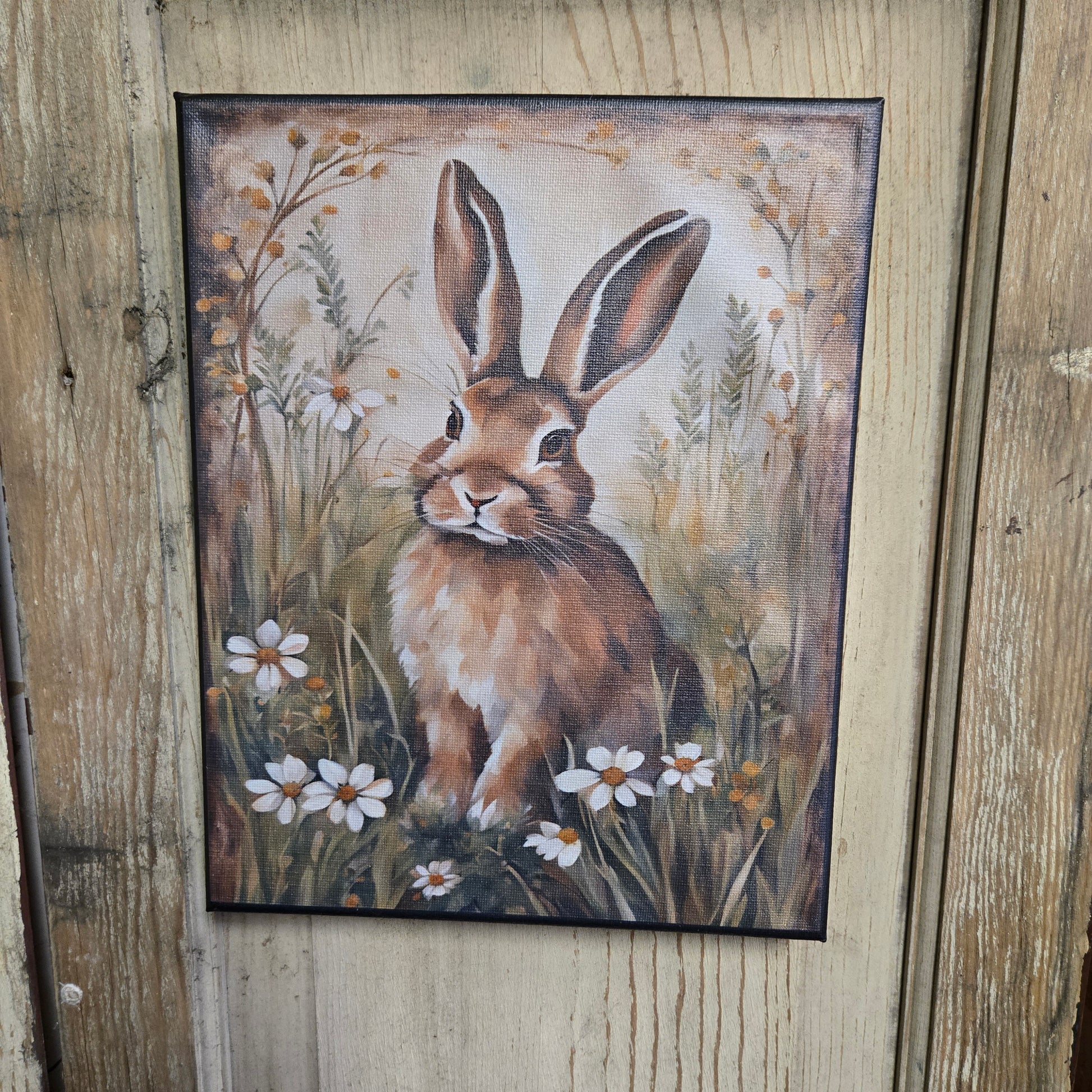Brown Bunny Canvas Print
