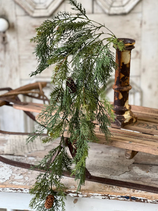 Hanging alpine cedar hanging spray 