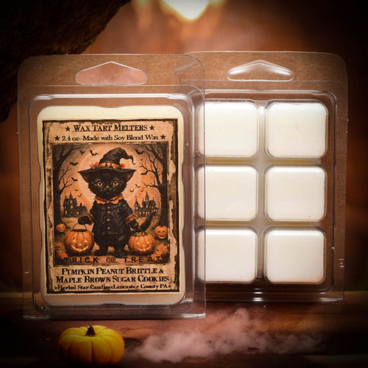 Wax tart melt packaging with Halloween-themed design featuring a black cat and pumpkins.